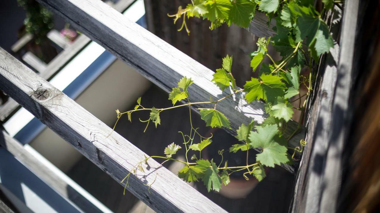 Biohotel Theiner'S Garten ラナ エクステリア 写真